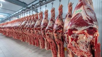 Asado, vacío y lomo más caros: fuerte suba de la carne durante marzo