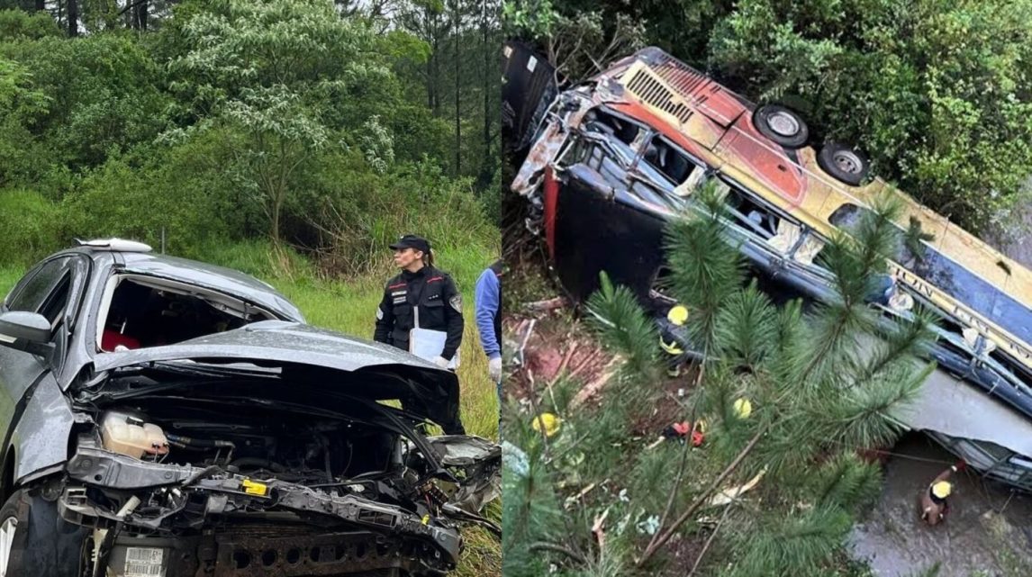 Tragedia en Misiones: confirmaron que el conductor que chocó al micro estaba alcoholizado