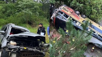 Tragedia en Misiones: confirmaron que el conductor que chocó al micro estaba alcoholizado