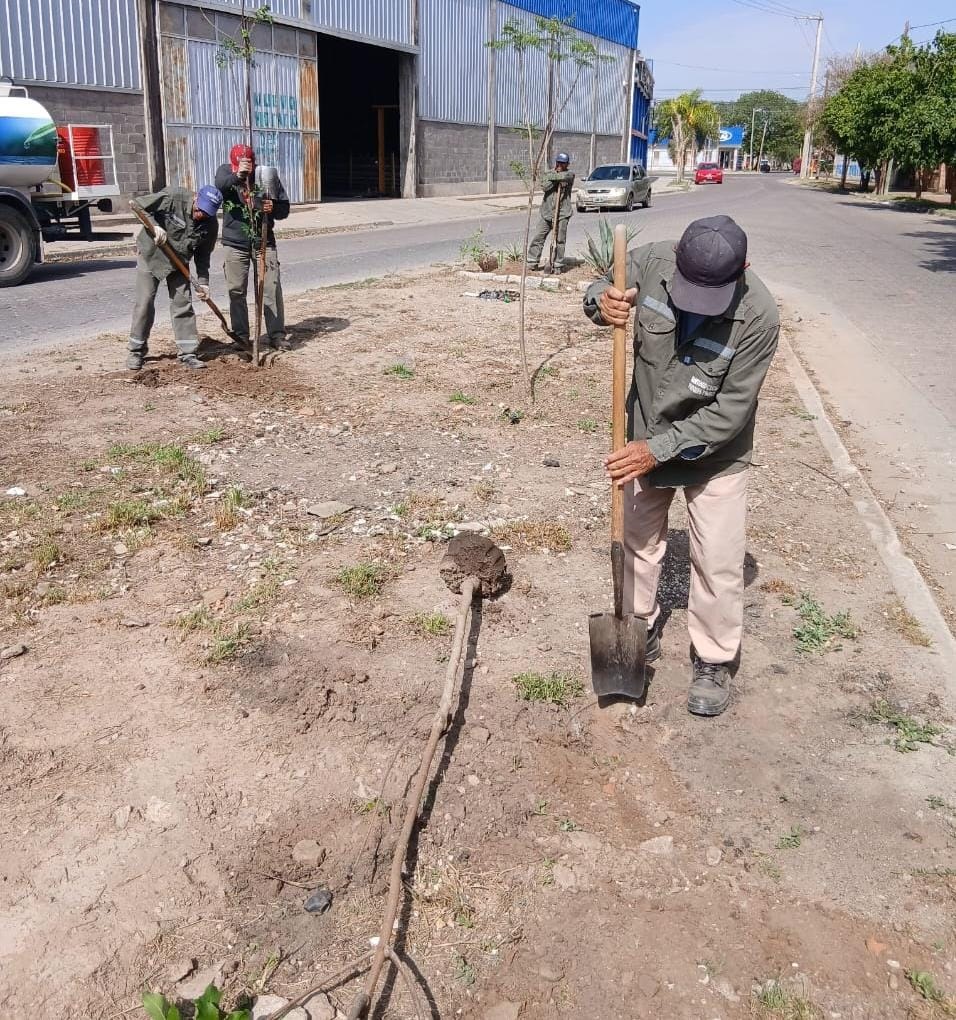Comenzó la plantación de más de 3300 árboles en el barrio Los Inmigrantes