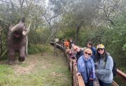 Turismo: Santiago del Estero muestra “la mayor resistencia a la caída” en la región más golpeada del país