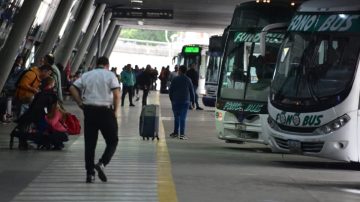 Hallazgo espeluznante: trabajadores de limpieza encontraron un feto dentro del baño de un colectivo