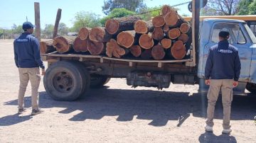 Loreto: Tras la denuncia de una mujer, recuperan vigas de algarrobo valuadas en más de $2.500.000