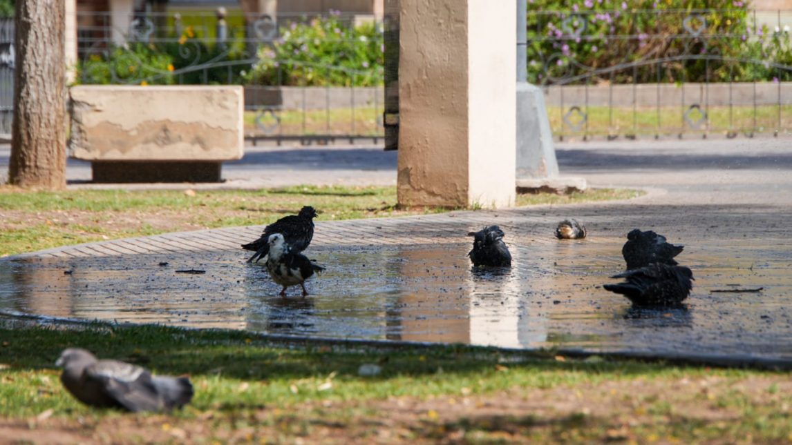 Casi 30 °C a las 6AM: Se espera otro día de calor con tormentas aisladas