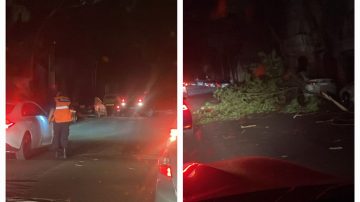 Caótico temporal en la “Madre de Ciudades”: Las ráfagas de hasta 100 km/h provocaron destrozos y un corte de luz generalizado