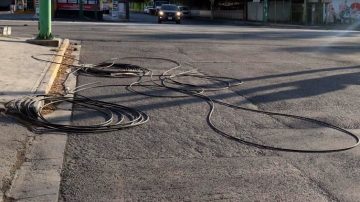 Cuatro caninos electrocutados durante trabajos eléctricos en Real Sayana