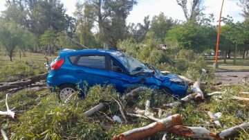 Meteorólogo advierte que las ráfagas del temporal superaron los 100 km/h y alerta por eventos extremos cada vez más frecuentes