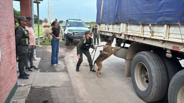 Interceptan camión con más de 2.600 kilos de marihuana ocultos en bobinas de alambre