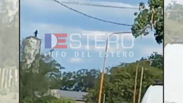 Joven sordomuda se arrojó de silo en Frías: Impactante video del momento