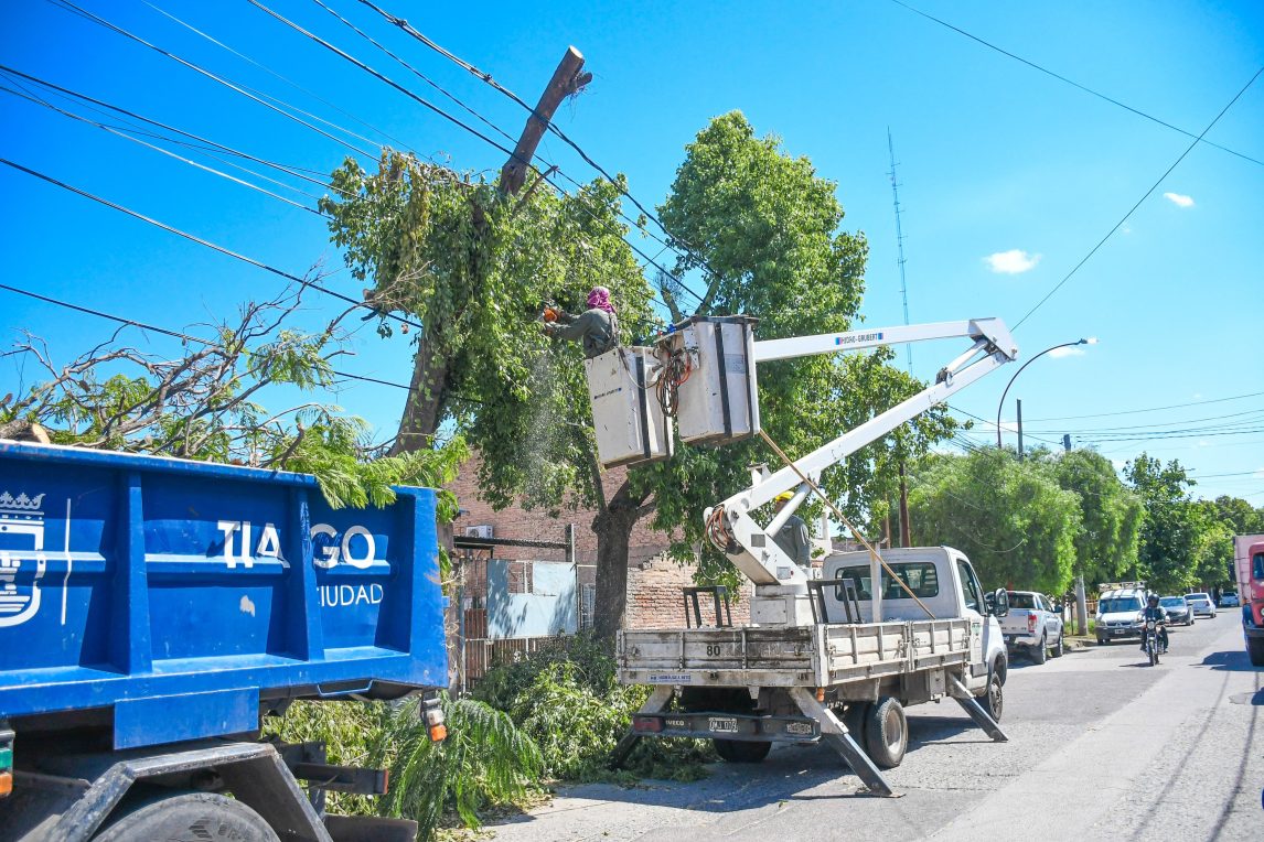 A una semana del viento devastador en Santiago del Estero, siguen con el levantamiento de árboles