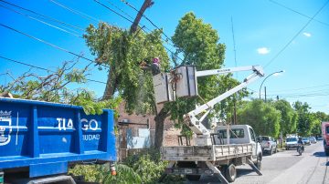 A una semana del viento devastador en Santiago del Estero, siguen con el levantamiento de árboles