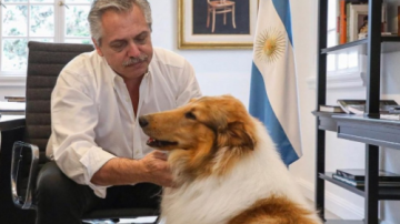 Murió Dylan, la mascota de Alberto Fernández: el sentido mensaje de despedida
