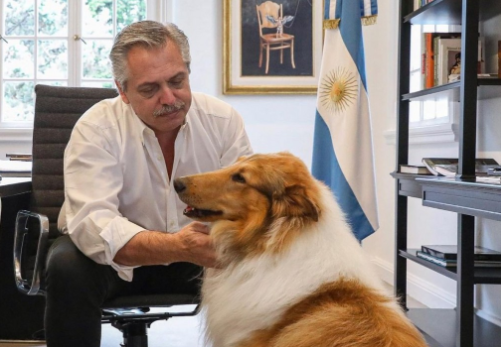 Murió Dylan, la mascota de Alberto Fernández: el sentido mensaje de despedida