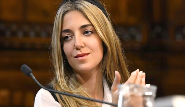 Le encontraron 700 mil USD en su casa: renunció funcionaria de Milei involucrada en el escándalo de coimas en ANDIS