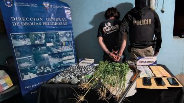 Sumampa: secuestran 28 plantas de marihuana, 86 bagullos, dinero y detienen a un hombre