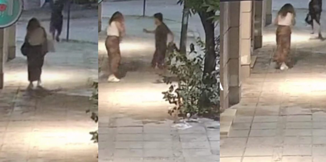 Delincuentes sorprendieron a una mujer, la amenazaron con un cuchillo y le robaron su bolso