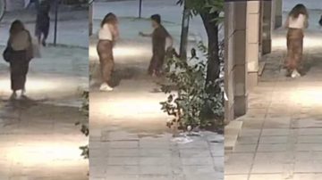 Delincuentes sorprendieron a una mujer, la amenazaron con un cuchillo y le robaron su bolso