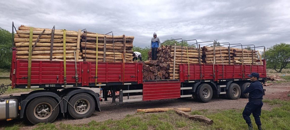 Ojo de Agua: Certificaban traslado de quebracho colorado a Río Negro, pero era itín