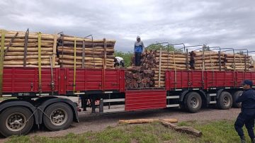 Ojo de Agua: Certificaban traslado de quebracho colorado a Río Negro, pero era itín