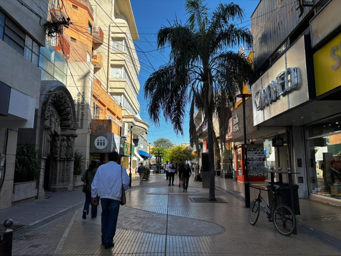 Otra vez sopa: Ingresó con su camioneta a la peatonal Tucumán y lo multaron