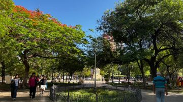 Martes fresco y parcialmente nublado con máxima de 19 grados en Santiago del Estero