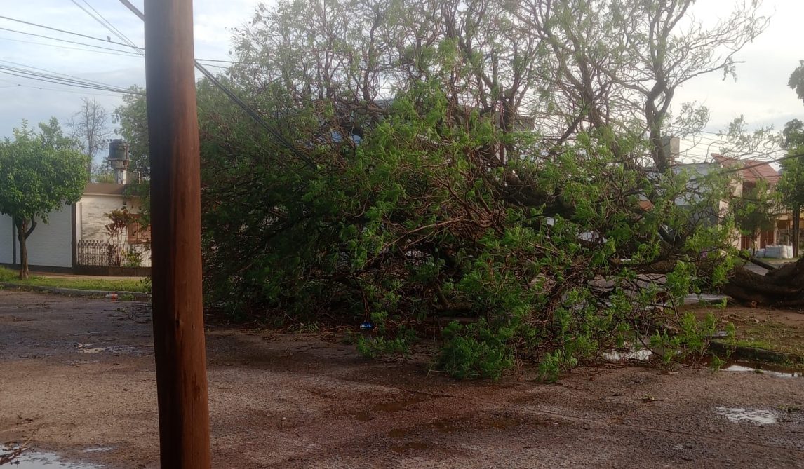 LAS FOTOS DE LA GENTE | Lo que el fuerte viento dejó en Santiago del Estero