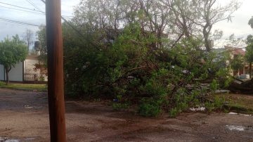 LAS FOTOS DE LA GENTE | Lo que el fuerte viento dejó en Santiago del Estero