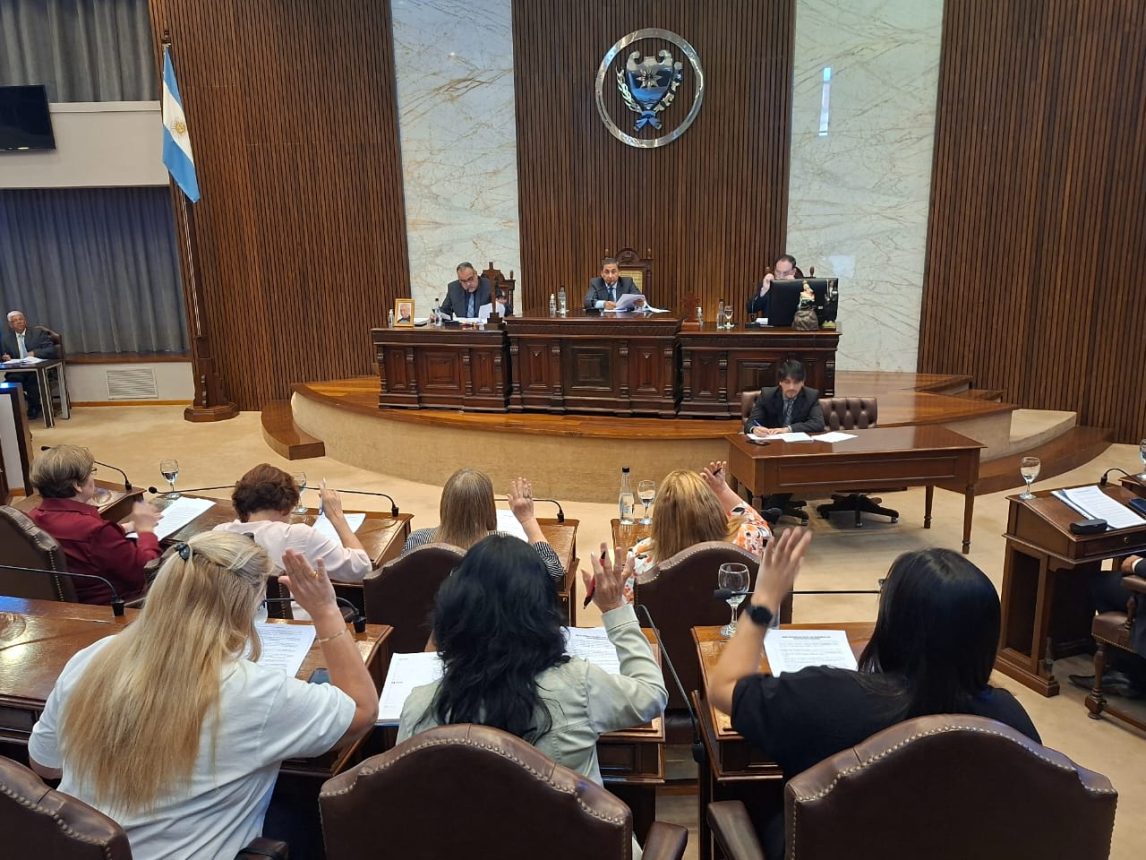 Legislatura provincial: reconocen a médicos del Hospital Regional por importante distinción obtenida en España