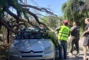 Advertencia: Ante las fuertes ráfagas piden no ingresar a la zona del Parque Aguirre