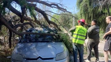 Advertencia: Ante las fuertes ráfagas piden no ingresar a la zona del Parque Aguirre