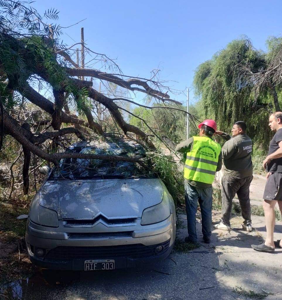Advertencia: Ante las fuertes ráfagas piden no ingresar a la zona del Parque Aguirre