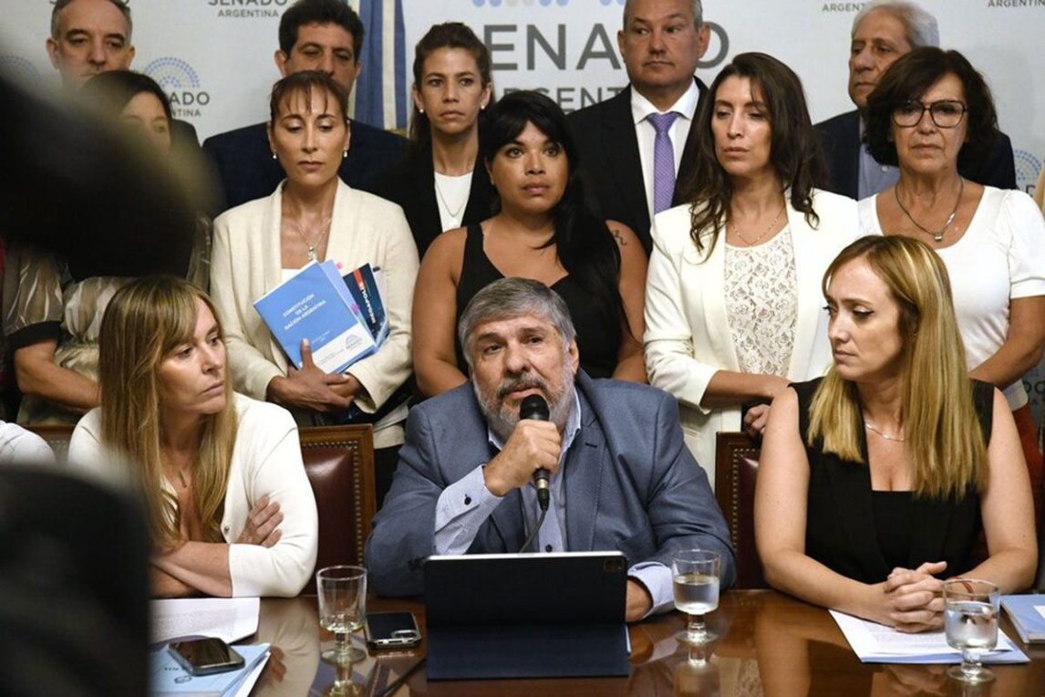 Senadores de Unión por la Patria repudiaron la detención de Julio De Vido y denuncian “persecución política”