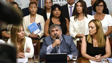 Senadores de Unión por la Patria repudiaron la detención de Julio De Vido y denuncian “persecución política”
