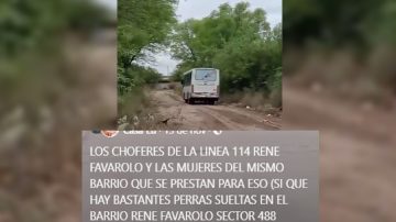 Filtran comprometedor VIDEO de un chofer de la línea 114 “en medio del monte”: ¿Qué hacía?