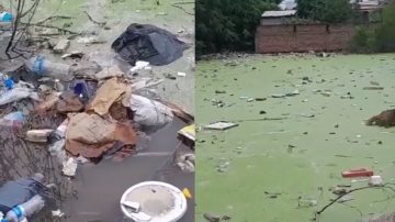 Vecinos bandeños denuncian contaminación a cielo abierto en el B° Juan Perón y apuntan contra la Municipalidad