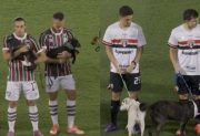 Fluminense y San Pablo emocionaron al Maracaná con una campaña de adopción de perros
