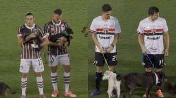 Fluminense y San Pablo emocionaron al Maracaná con una campaña de adopción de perros