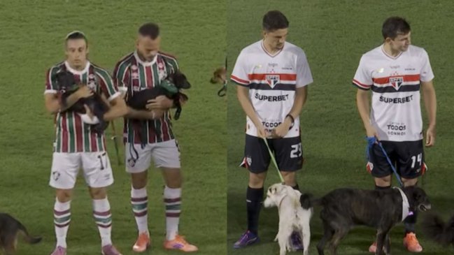 Fluminense y San Pablo emocionaron al Maracaná con una campaña de adopción de perros