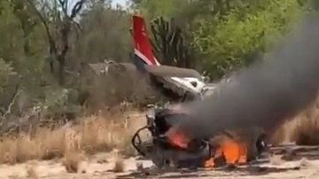 Videos: cayó una avioneta narco en un campo de Rosario de la Frontera