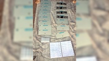 Más de 80 mil autos “mellizos” circulan en Argentina, alertan ONG´s