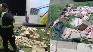 Secuestran embutidos, lechones y chivos de Santiago del Estero transportados en un colectivo rumbo a Buenos Aires