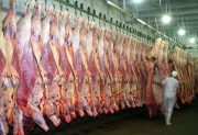 Aseguran que el precio de la carne seguirá en alza tras la suba del 15%