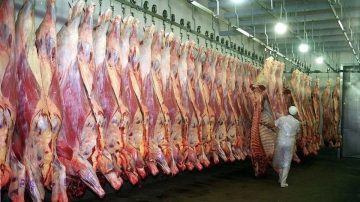 Aseguran que el precio de la carne seguirá en alza tras la suba del 15%