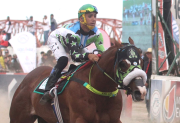 Cowboy, el caballo que ganó la triple corona en el Hipódromo 27 de Abril y murió