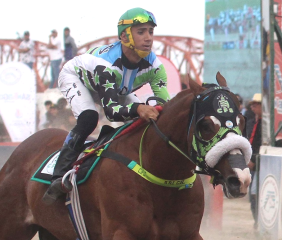 Cowboy, el caballo que ganó la triple corona en el Hipódromo 27 de Abril y murió