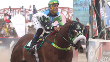 Cowboy, el caballo que ganó la triple corona en el Hipódromo 27 de Abril y murió
