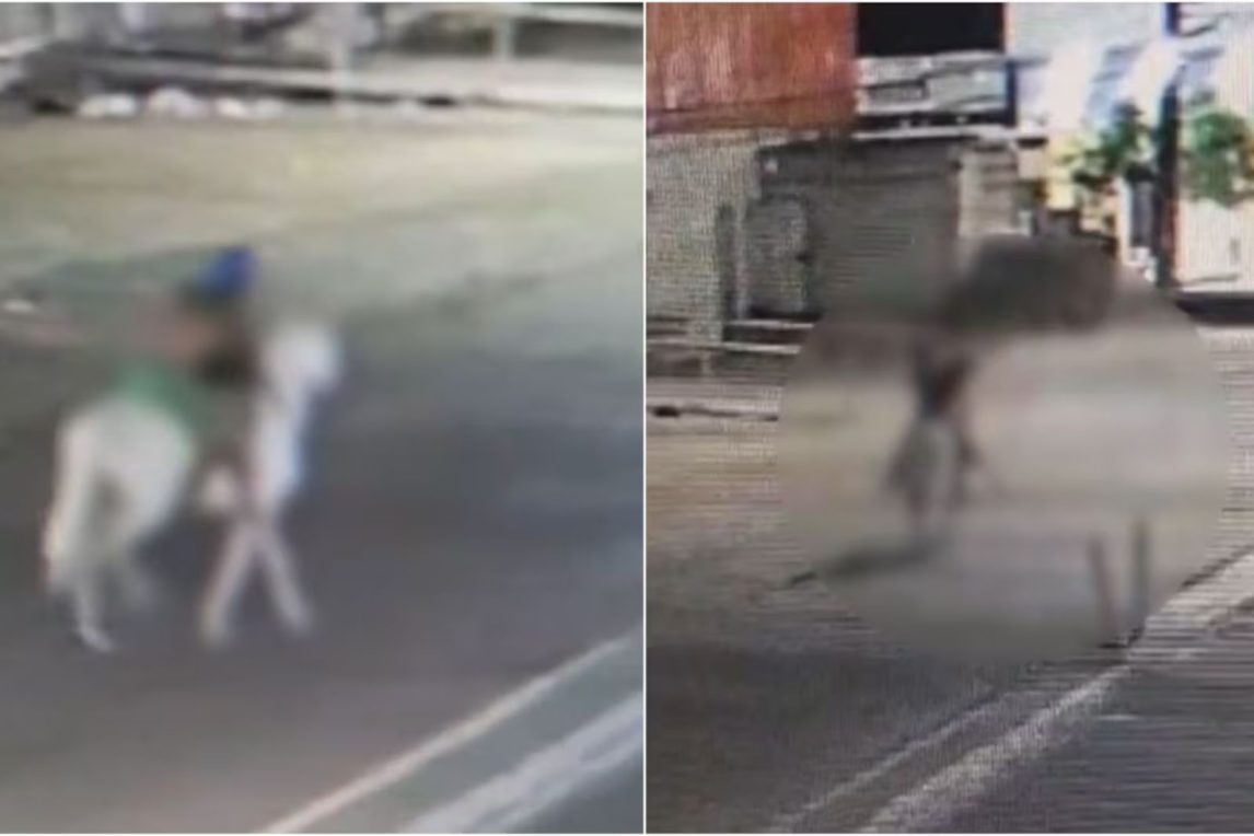 Espeluznante: asesinó a una mujer y la llevó a caballo hasta un descampado