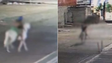 Espeluznante: asesinó a una mujer y la llevó a caballo hasta un descampado