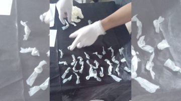 Interceptan cocaína en el ingreso a un club en Pinto