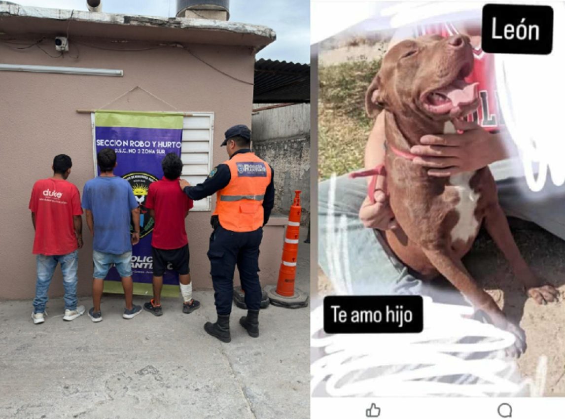 Detuvieron a los asesinos de “León”, el perrito que trató de evitar un robo en el B° Juan Díaz de Solís